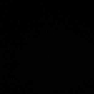 Meet your Posher, Britney